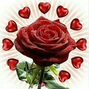 Meet your Posher, Rosa